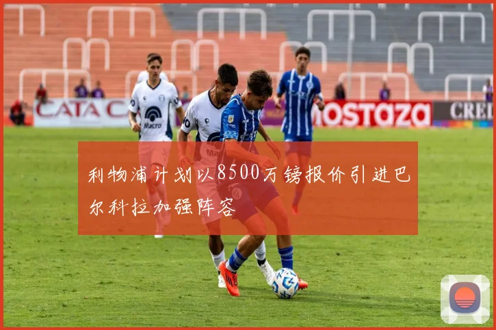 利物浦计划以8500万镑报价引进巴尔科拉加强阵容